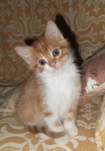 A Casa Di Mì Appartamenti vacanza - Case Vecchie