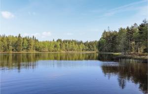 Pet Friendly Home In Skeppshult