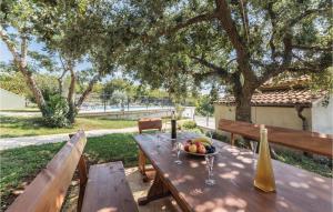 Cozy Apartment In Pilkovici With Wifi 