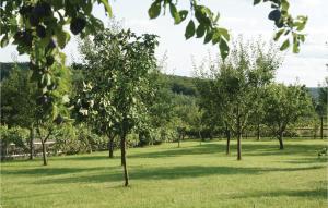 Schönes Ferienhaus Reinersdorf