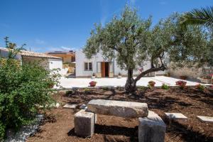 Casa vacanza i due ulivi