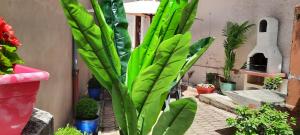 Villas Villa Lamartine : photos des chambres