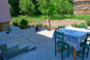 Šumska tajna - Radenkovac