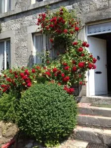 Relax à Maison Sax Kingsize - Oppagne