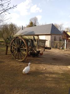 Maisons de vacances Gite a la campagne : photos des chambres