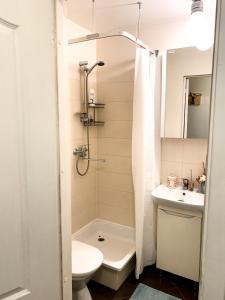 Vienuolio Apartament - jauki vieta poilsiui šalia upės