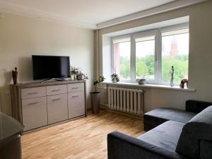 Vienuolio Apartament - jauki vieta poilsiui šalia upės