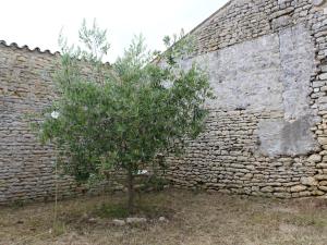 Maisons de vacances Maison Saint-Georges-d'Oleron, 10 pieces, 15 personnes - FR-1-246A-61 : photos des chambres