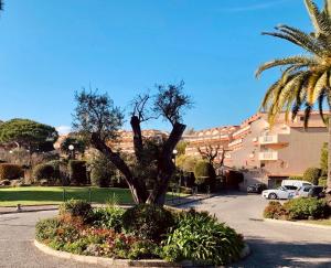 Appartements Antibes Secured Parc Velusine with private parking, Terrace, Pools and Tennis courts. : photos des chambres