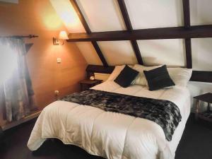 Adorable Chalet Sur le lac de Payolle