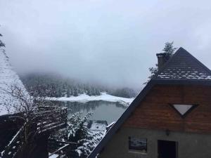 Chalets Adorable Chalet Sur le lac de Payolle : photos des chambres