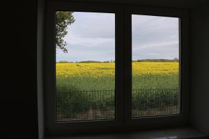 Kleines Haus am Feld