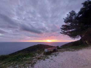 Apartmani Marija Mljet