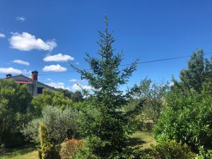 Villa Ljubica with big beautiful garden