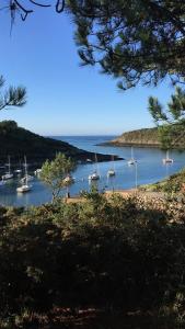 B&B / Chambres d'hotes COTTAGE des RIAS 2 chambres d'hotes ou 1 suite a 172 m de la mer sans TV : Suite avec Terrasse 