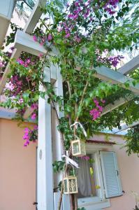 Jasmine maisonette