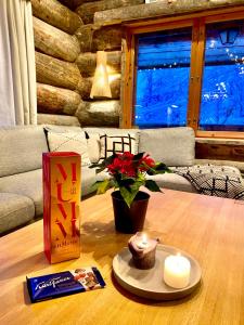 Ruka View at the Slopes Ski in, Family & Bike Park, National Park, hike trails - Lapland Villas