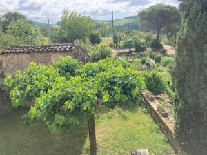 Maisons de vacances La Ferme du Paradis : photos des chambres