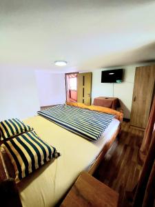 PENSIUNEA BOCA VORONET