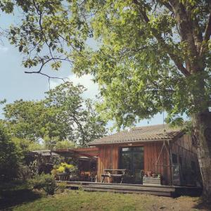 Maisons de vacances Maison bois au coeur de la nature. 2ha de terrain. Etangs : photos des chambres