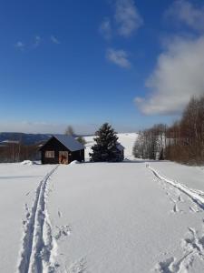 Dziewięćsił Blisko ziemi Góry Stołowe Duszniki Zdrój