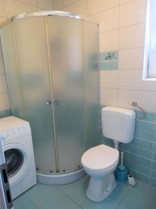 Apartman Crikvenica 30244 - Visnja silver 