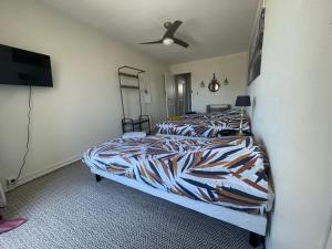 Appartements Les Lodges du Castel : photos des chambres