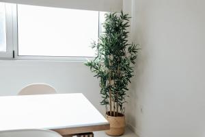 Rest House - Vila do Conde