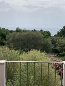 Corallo img29
