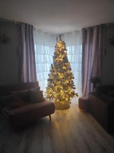Maisons de vacances Gite Luxury***** avec Bar a Soultzeren : photos des chambres