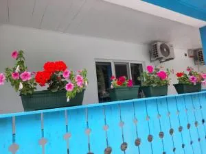 Casa Dobrogea - Cap Aurora