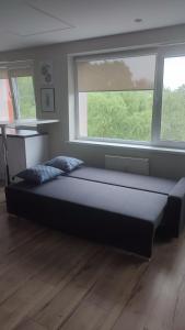 Center apartment Rūtų street