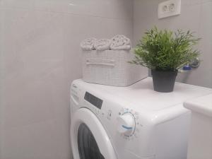 Apartman Bruno