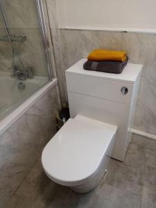 Bridge View Victorian Townhouse Central Aberystwyth Sleeps 6