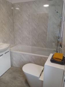 Bridge View Victorian Townhouse Central Aberystwyth Sleeps 6