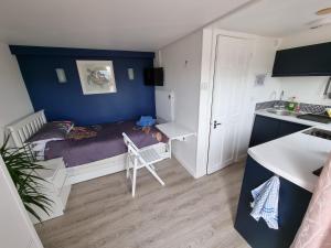 Lovely private studio room with own kitchen and bathroom.in the popular area of Shiphay in Torquay and only a short walk from Torbay Hospital