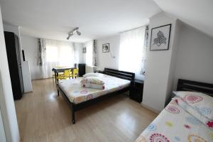 Studio with Balcony room in Pensiunea Soare si Luna