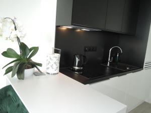 Wave Appartment in Misdroy with the pools jacuzzi sauna seaview