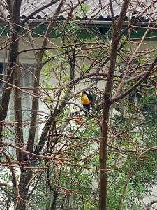 Recanto Clave de Sol