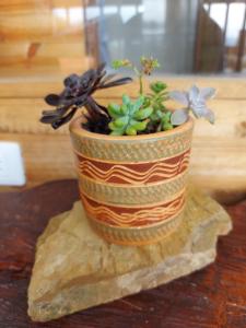 Refugio Naturaleza en Armonia