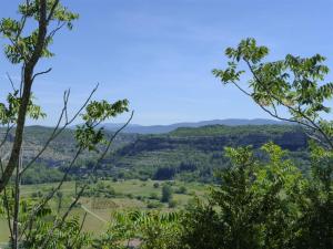 Maisons de vacances Charming stone Tiny House with communal pool, Chambonas : photos des chambres