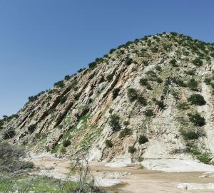 Achab Self Catering Tent