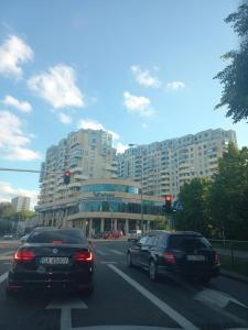 Apartament Witawa