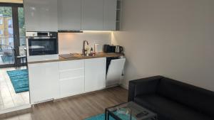 Plac Unii: Rybka Premium