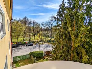 Bright and comfortable unit across from Messe Wels