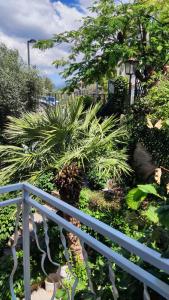 Apartmani Famelja Jovanovic