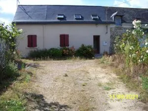 La Salamandre - Pellouailles-les-Vignes