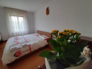 San Marcello Residence