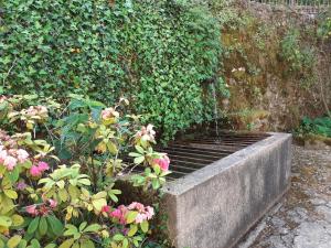 B&B / Chambres d'hotes Moulin Chantepierre : photos des chambres