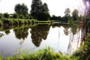 Agroturystyka Zagroda w Kobylicach